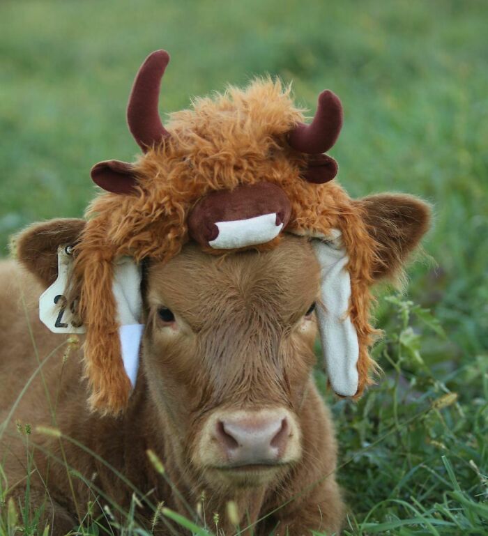 Getting Ready For Fall Weather