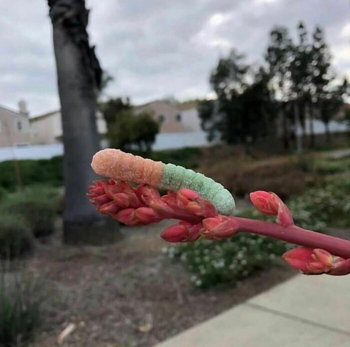 "I Want To Leave" Is Pretty Much The Weirdest Instagram Account, And Here Are 50 Pictures To Prove It (New Pics)