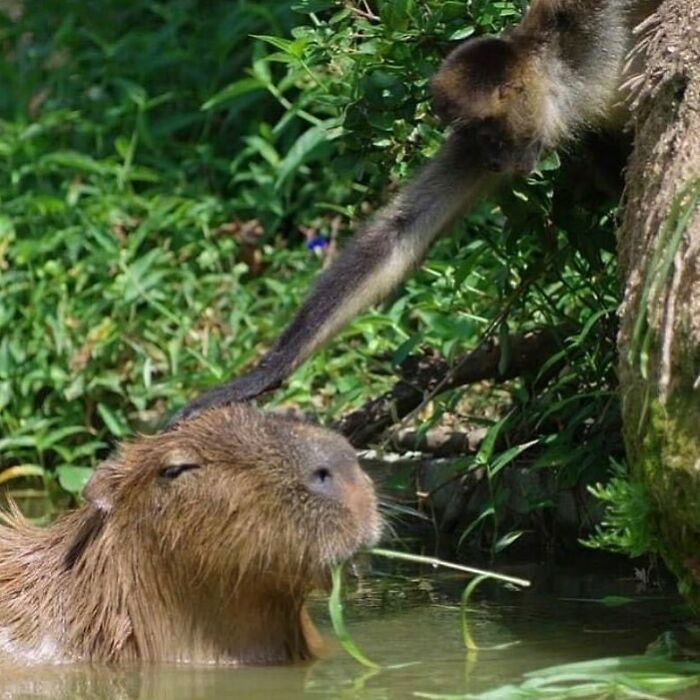 "I Want To Leave" Is Pretty Much The Weirdest Instagram Account, And Here Are 50 Pictures To Prove It (New Pics)