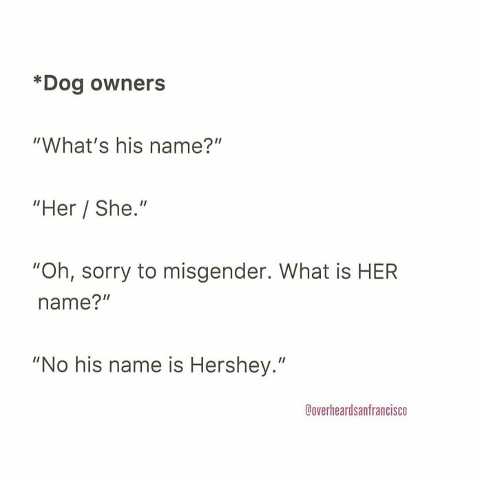 Text of a humorous private conversation overheard in San Francisco involving dog owners discussing a dog's name and pronouns.