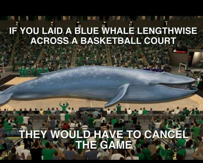 The Metric System Has Failed Us