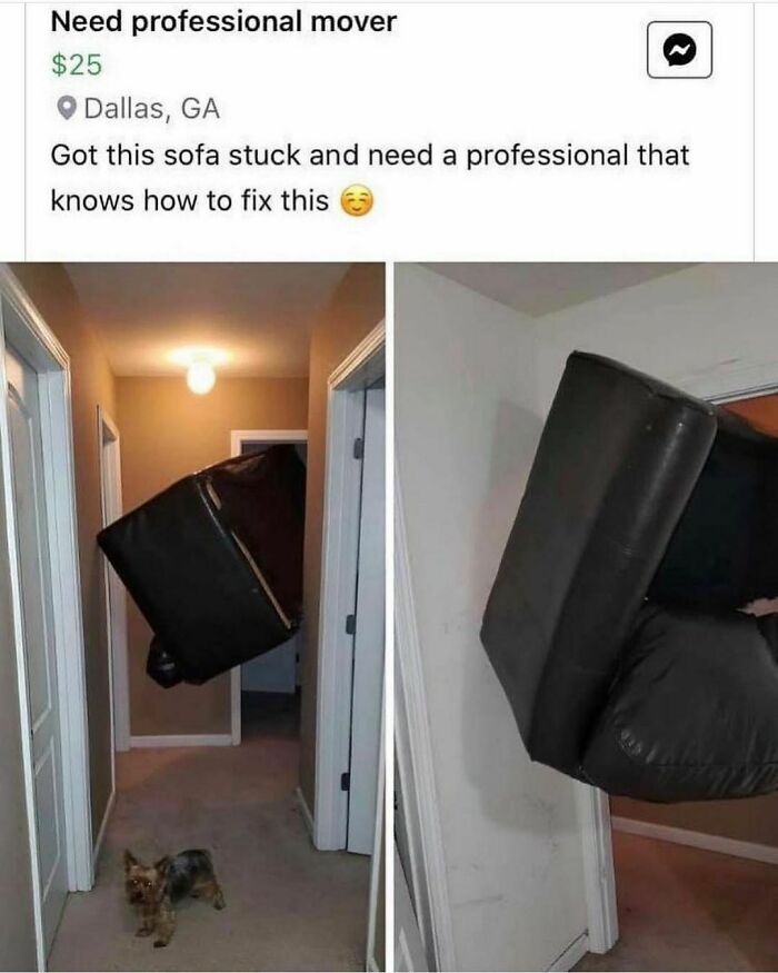 Step Couch What Are You Doing?