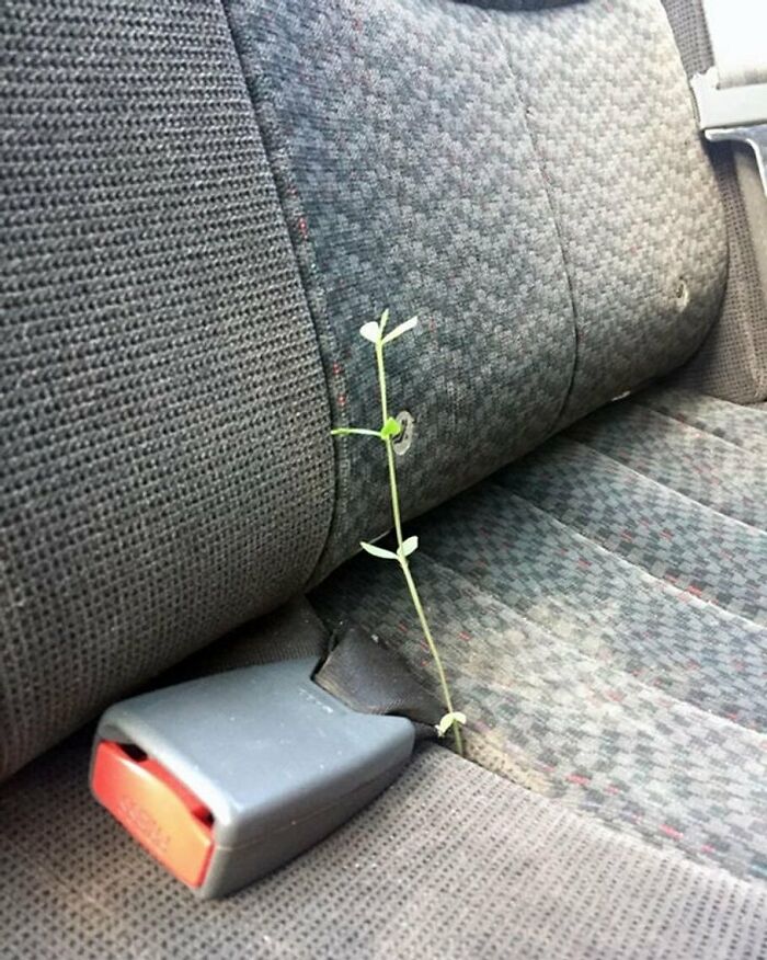 "I Want To Leave" Is Pretty Much The Weirdest Instagram Account, And Here Are 50 Pictures To Prove It (New Pics)