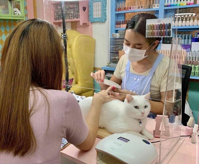 "I Want To Leave" Is Pretty Much The Weirdest Instagram Account, And Here Are 50 Pictures To Prove It (New Pics)