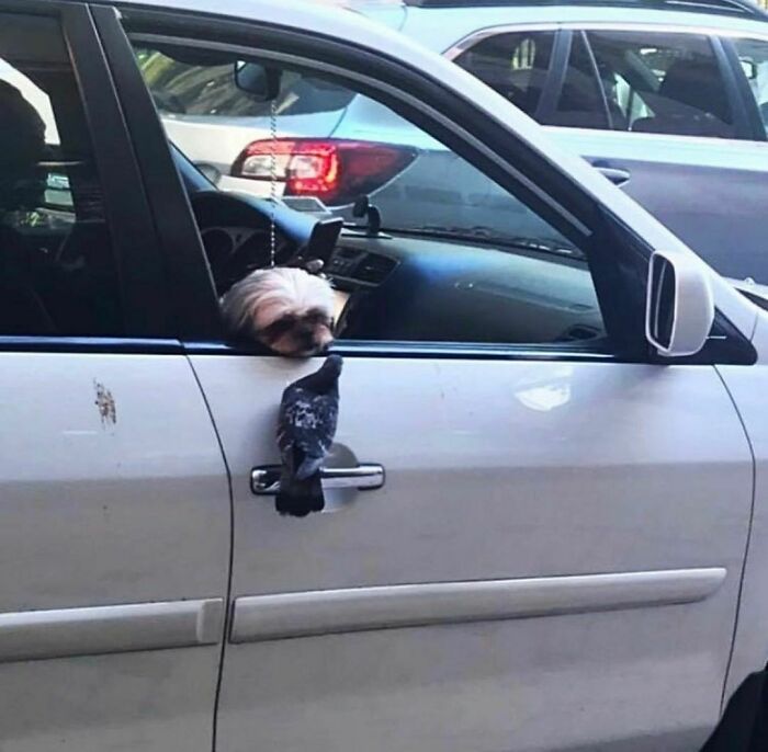 "I Want To Leave" Is Pretty Much The Weirdest Instagram Account, And Here Are 50 Pictures To Prove It (New Pics)