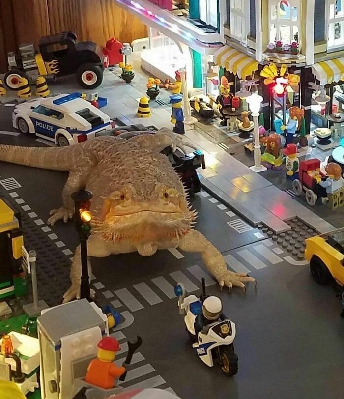 "I Want To Leave" Is Pretty Much The Weirdest Instagram Account, And Here Are 50 Pictures To Prove It (New Pics)