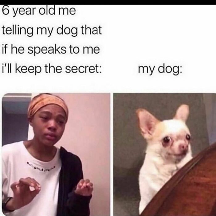 I Promise I Won't Hand You Over To The Government For Scientific Experiments