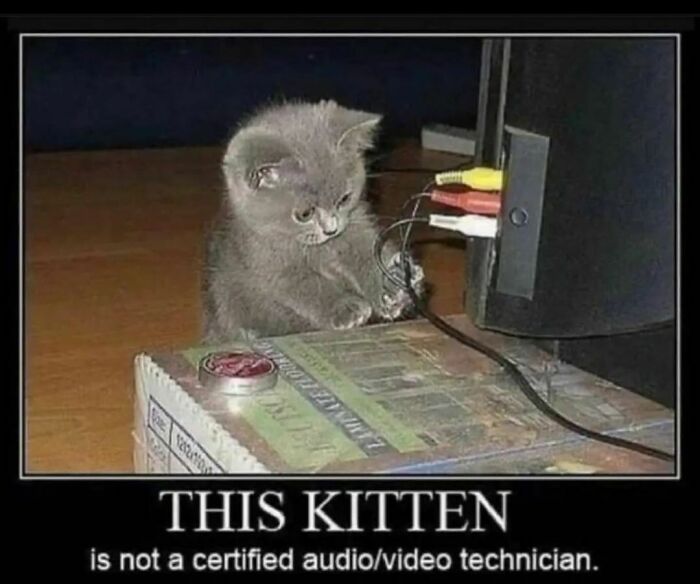 Fake It Till You Make It