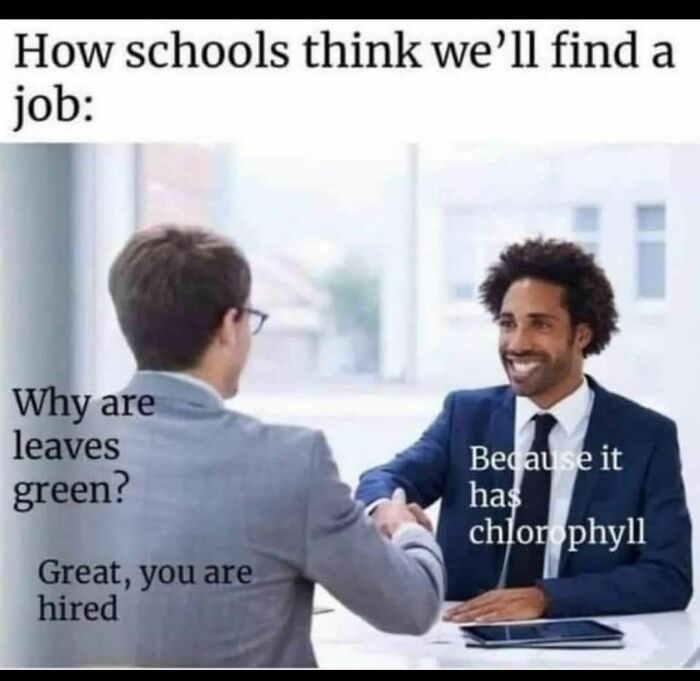 I Will Chloro-Fill This Office With Positive Energy That You And Your Team Will Appreciate