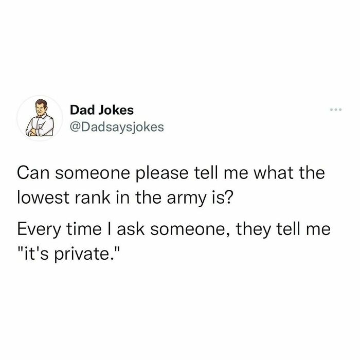 Dad joke about the lowest army rank being "private," shared by an Instagram account.