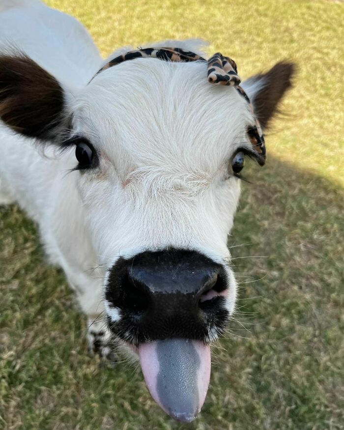 Trying Out A New Look!