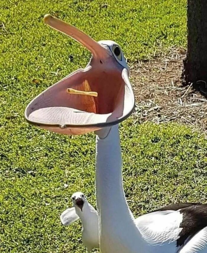 "I Want To Leave" Is Pretty Much The Weirdest Instagram Account, And Here Are 50 Pictures To Prove It (New Pics)