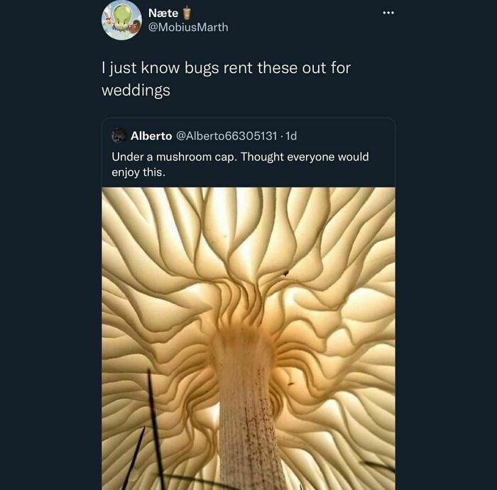 You May Now Bug The Bride