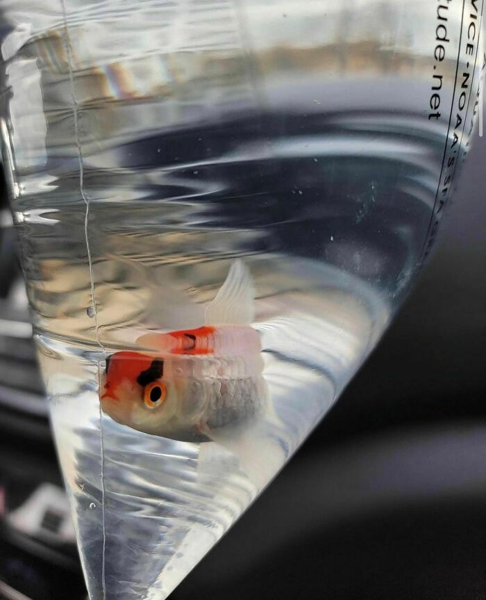 @allofyourproblemsever