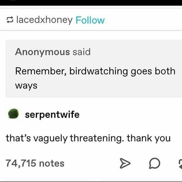 The Cardinal Knows My Secrets