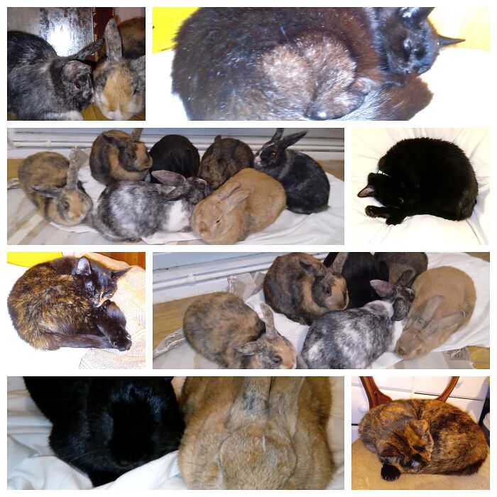 They Were Asleep Until I Banged My Toe!