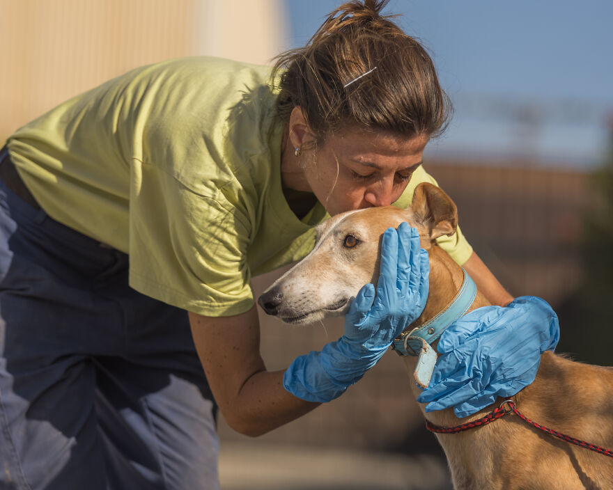 I Documented The Strife Of Rare Spanish Dog Breeds In This Shelter, And It's Mortifying