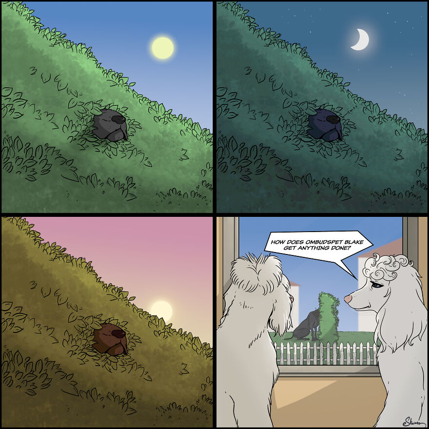 The Nosy Poodle Neighbours, Malita And Annabelle