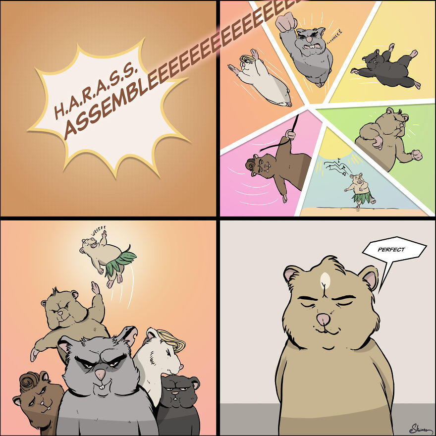 HARASS Team Assembleeeeeeeeee