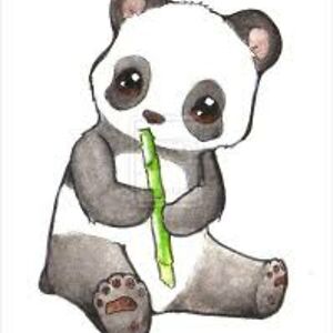 donnyewhite595 avatar