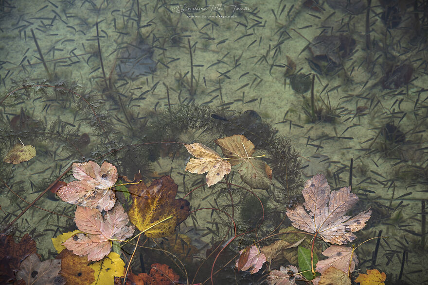 I Have Photographed ‘The World Of A Thousand Colourful Waterfalls’ In Plitvice Lakes, Croatia