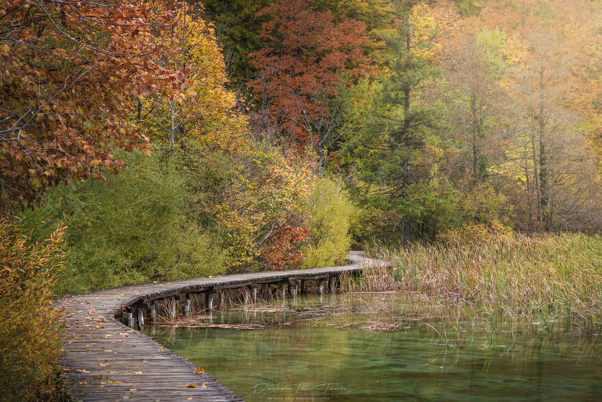 I Have Photographed ‘The World Of A Thousand Colourful Waterfalls’ In Plitvice Lakes, Croatia