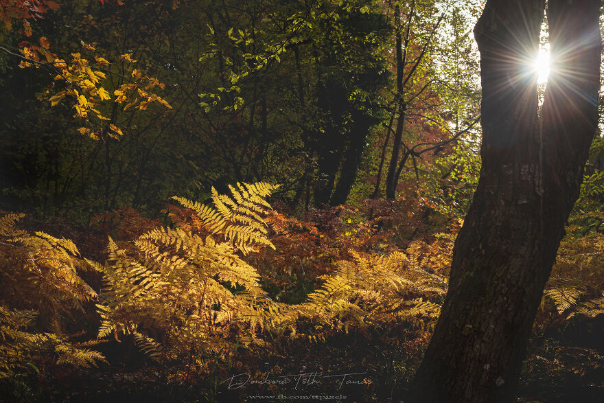 I Have Photographed ‘The World Of A Thousand Colourful Waterfalls’ In Plitvice Lakes, Croatia