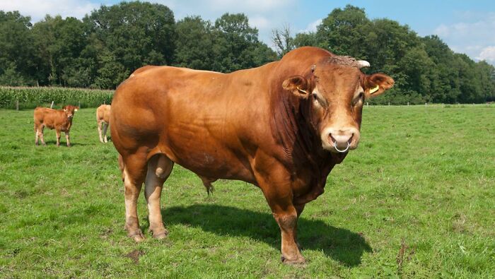 30 ‘Today I Learned’ Facts That Show It’s Never Too Late To Learn (New Pics)