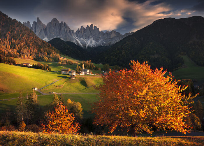 Vibrant fall colors in the Alps with lush green fields and mountain peaks under a dramatic sky at sunset.