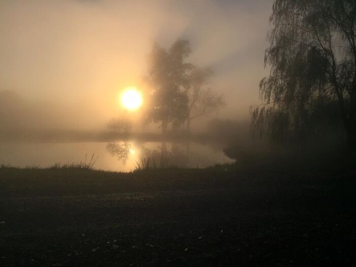 2014. First Fall At Our New Home