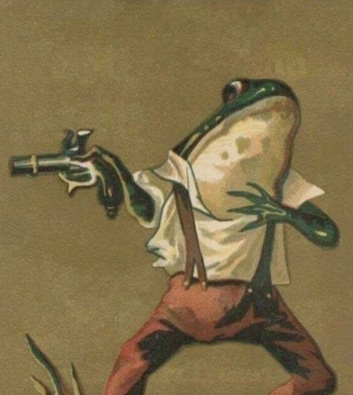 Froggy With Gun😯