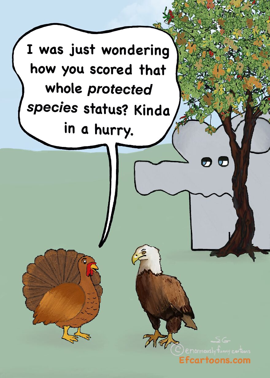 Happy Thanksgiving From Enormously Funny Cartoons!