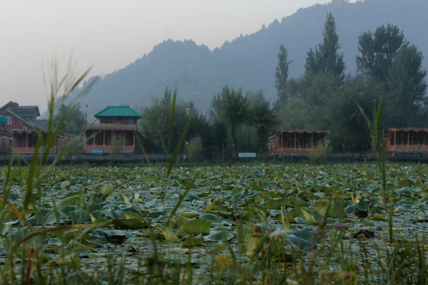 "English Palaces On The Water''