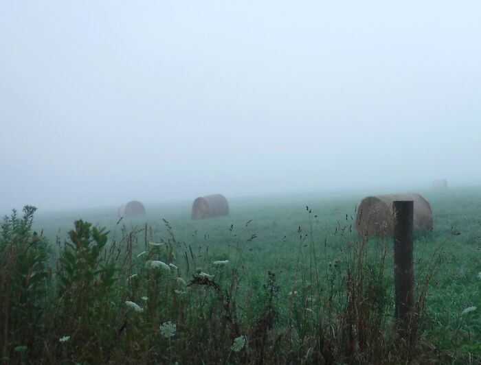 Hay Harvest, Northern Indiana