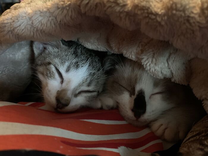 Flash And Patches Under “The Warm”