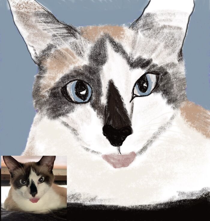 Patches And Her Tongue. (I Started Learning To Use Procreate This Week)