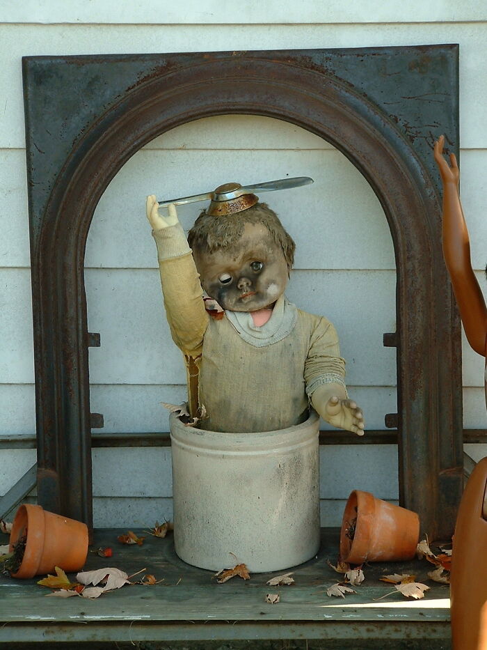 This Was In Someone‘S Back Yard