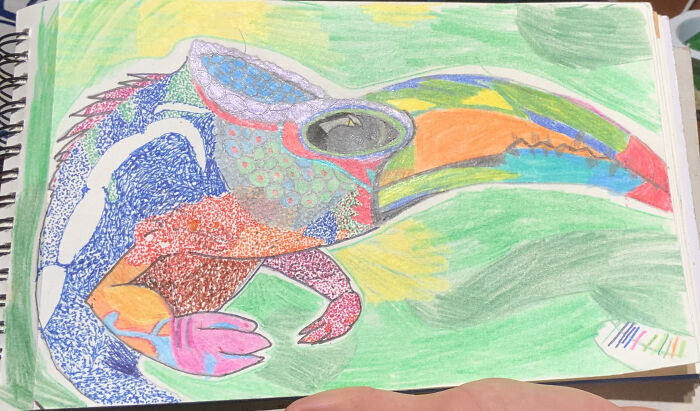 My T U C A M E L E O N, With Stipples And Coloring Pencils