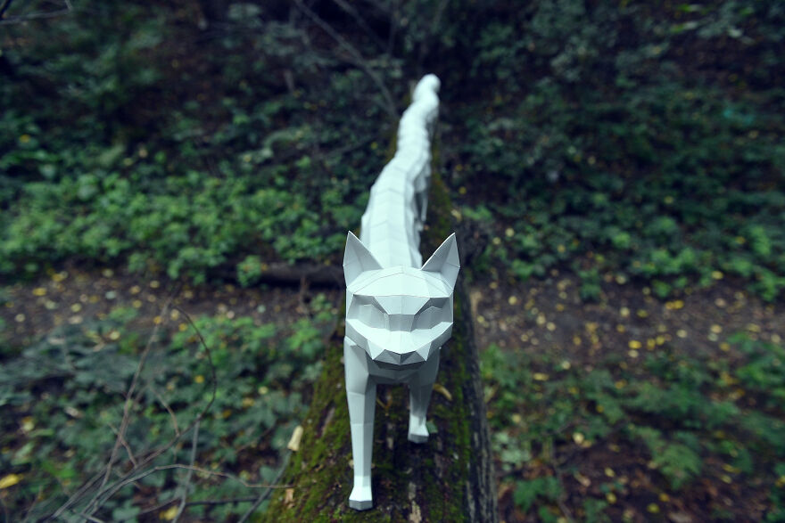 Assembled A 5 Meter Cat From Paper, 2 Months Of Work
