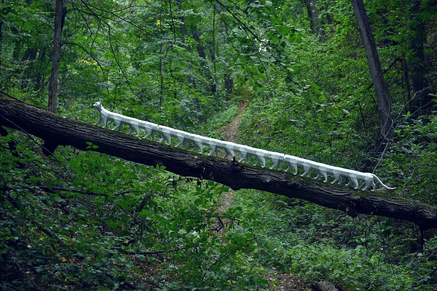 Assembled A 5 Meter Cat From Paper, 2 Months Of Work