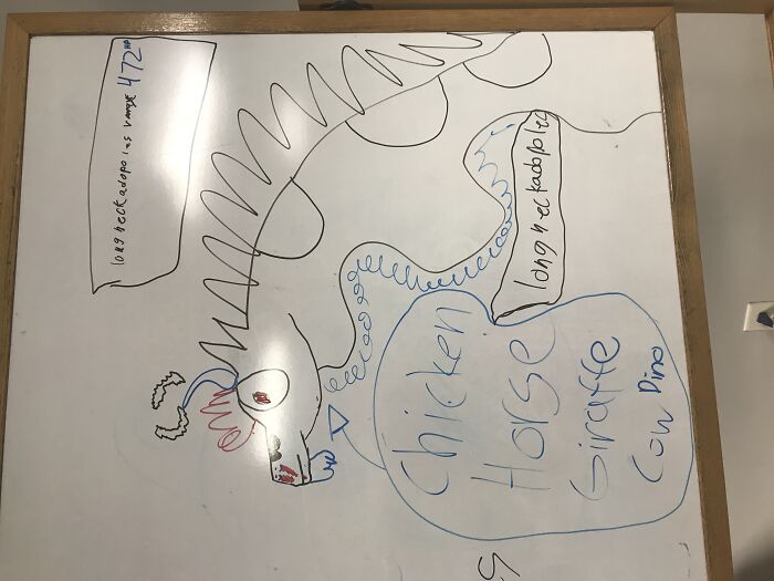 The Chicken Horse Giraffe Cow Dino.