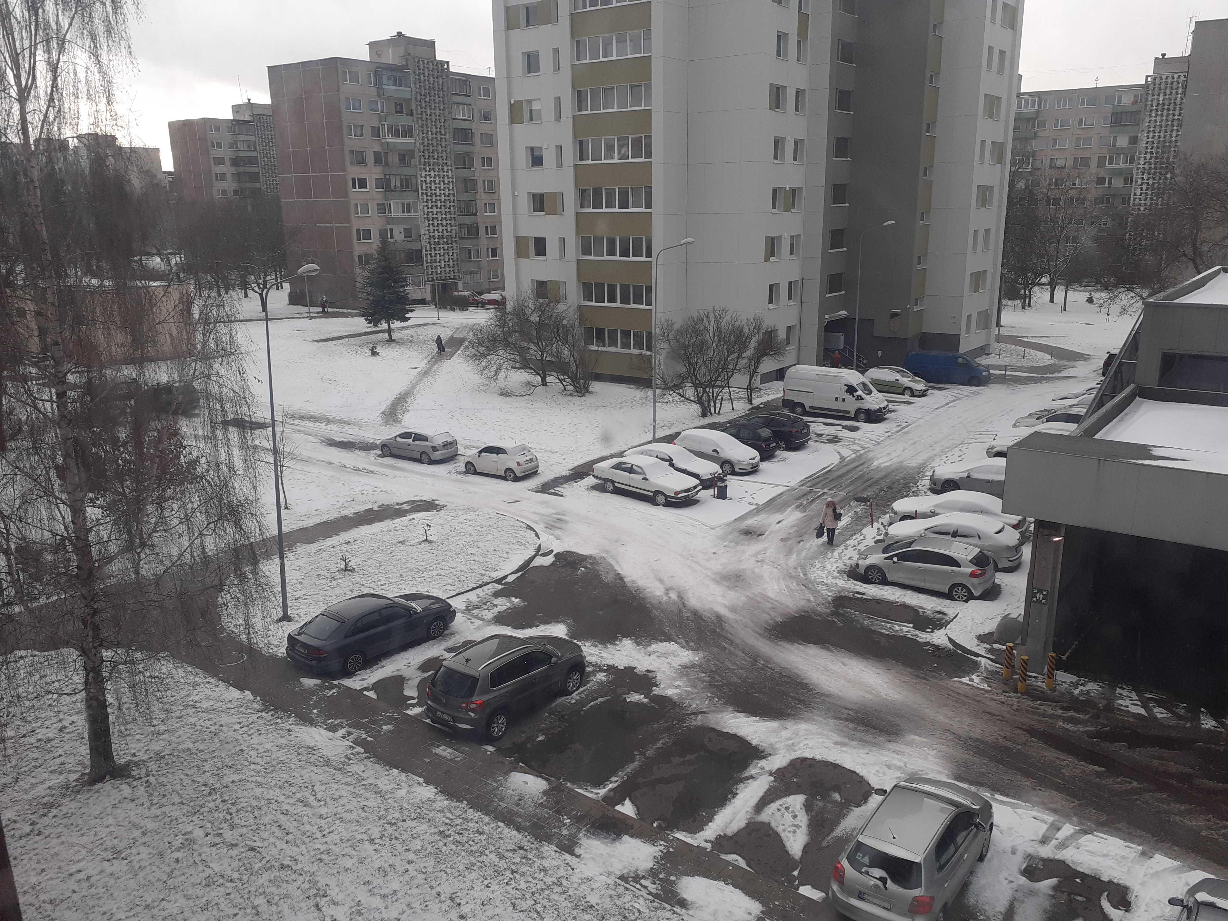 Hey Pandas, Post Pics Of The First Snow (Closed)