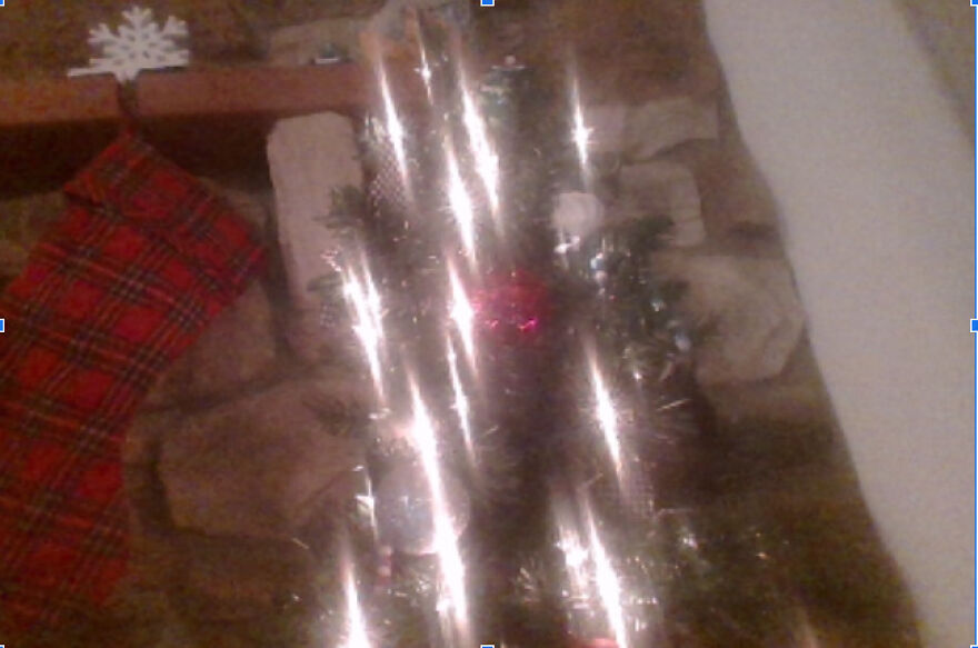 My Tiny Tree This Year