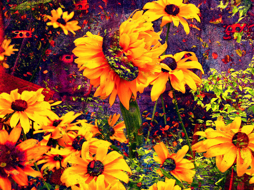 I Made Art Using Code That Finds Outliers In Photos I Made Art Using Code That Finds Outliers In Photos