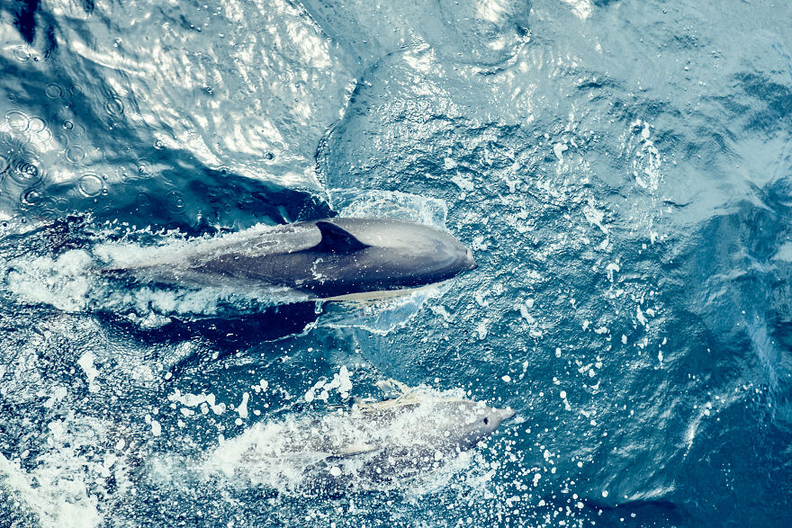 Here Are My 30 Best Pics Showing The Uniqueness Of New Zealand