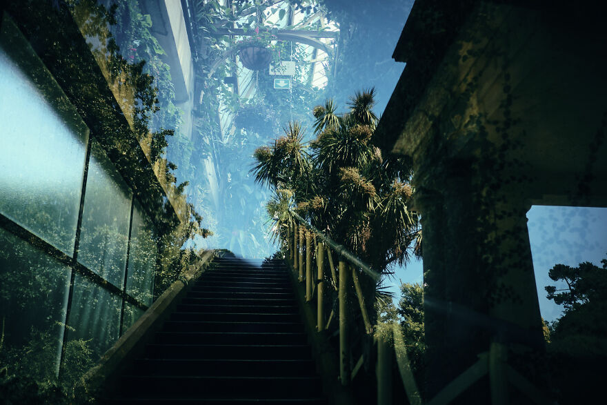 Here Are My 30 Best Pics Showing The Uniqueness Of New Zealand