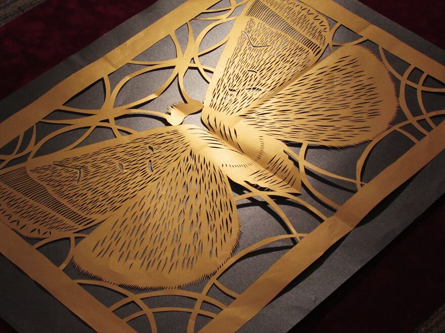 Lygephila Pidmanulapidvela