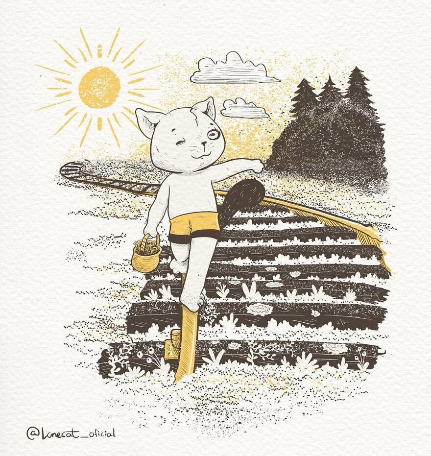 Summer Is A Great Time To Pick Some Berries And Mushrooms