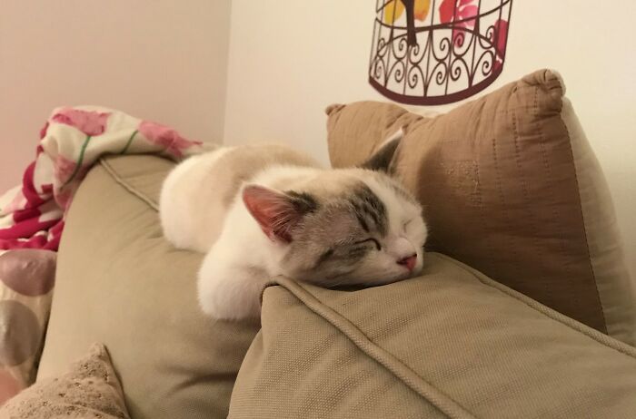 Une Petite Sieste Et Ça Repart !