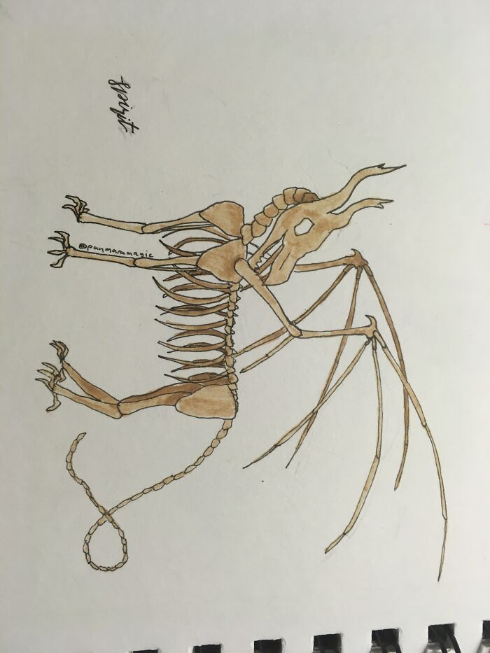 I've Posted It Before But I Thought It Fit Here